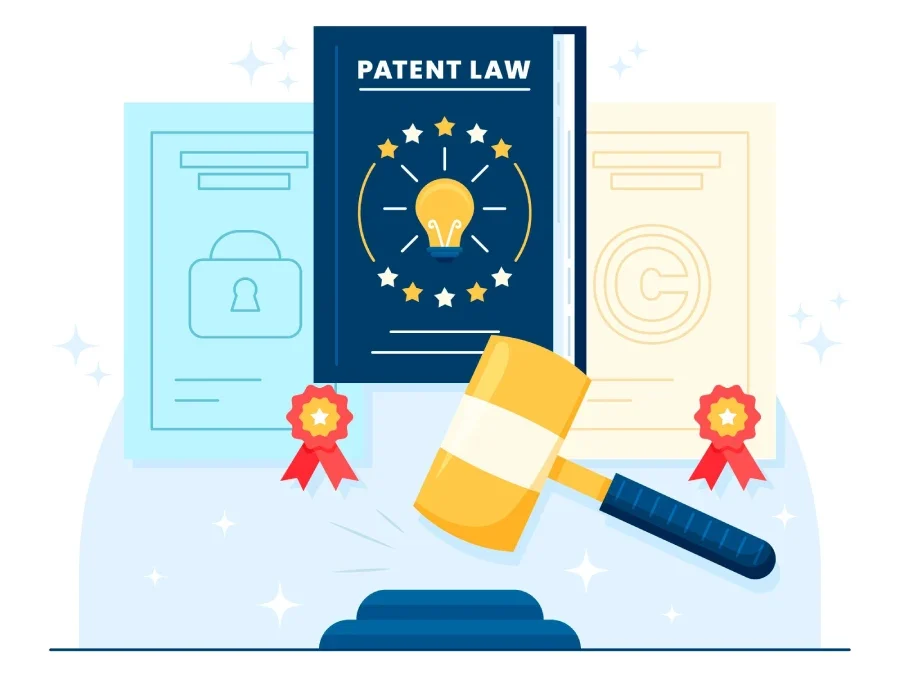 patent hakkı alanları